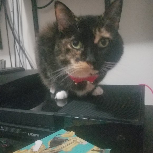 READ Before You Offer Or Buy - Picture 11 of 15